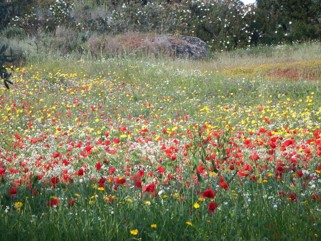 Duas Aguas Arribes Bemposta (Braganca) Exterior foto